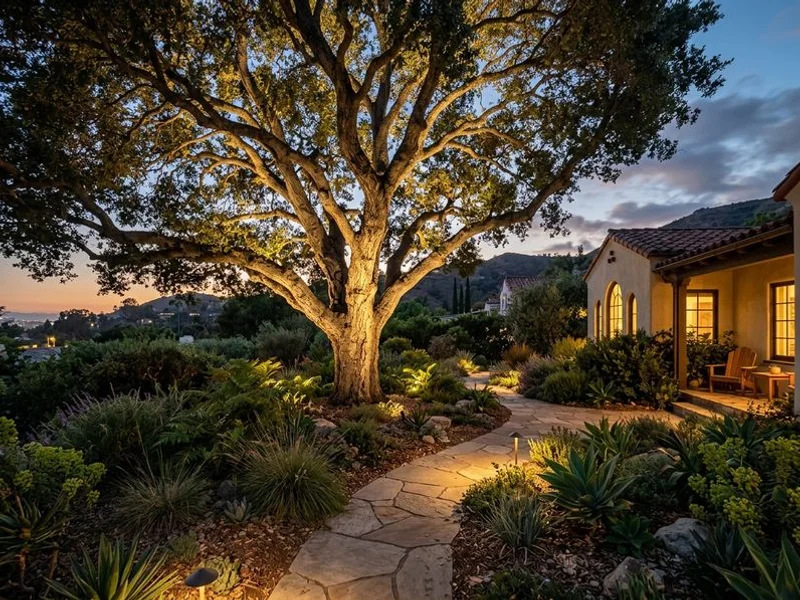 Ridgeline Outdoor Living low-voltage up-lighting on a coast live oak in Pasadena